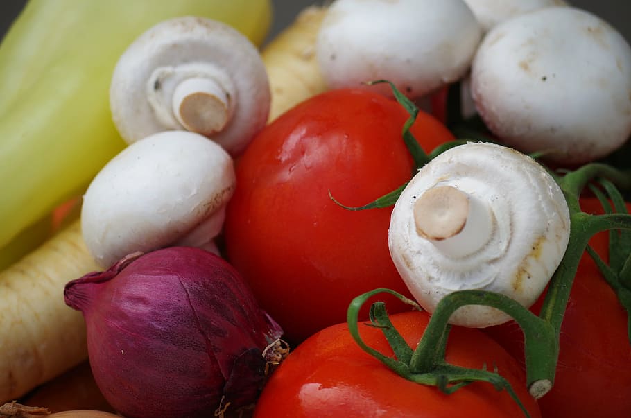 vegetables, varied, healthy, tomatoes, mushrooms, paprika, parsnips HD wallpaper