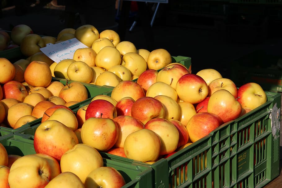 apple, market, fruit, vitamins, food, healthy, fruits, purchasing HD wallpaper