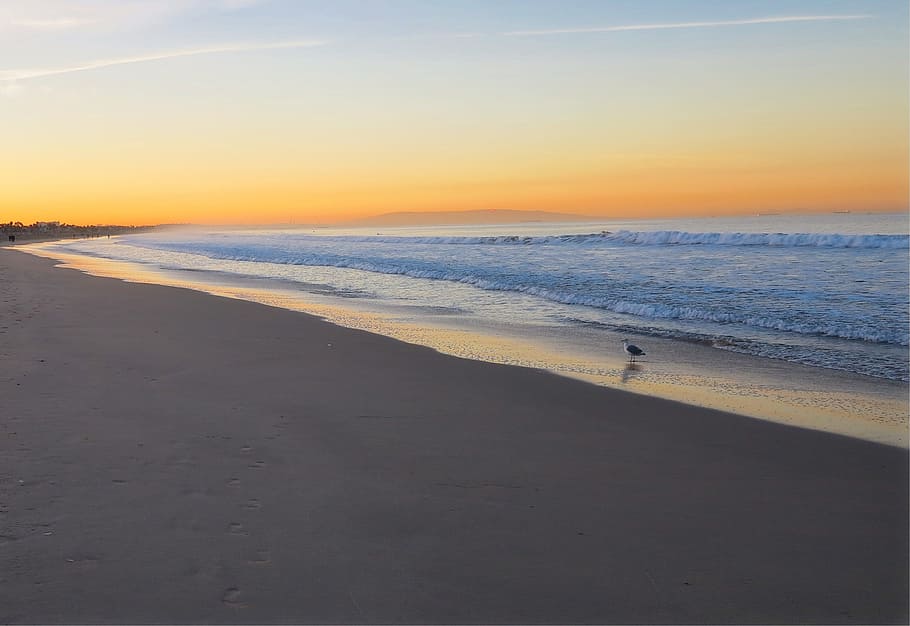 Sunrise, Ocean, East, Water, Beauty, waves, sky, the waves HD wallpaper