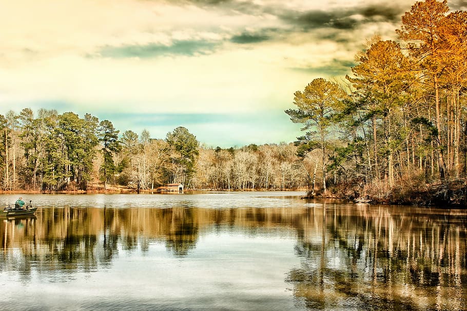 still life painting of trees and lake, georgia, water, man HD wallpaper