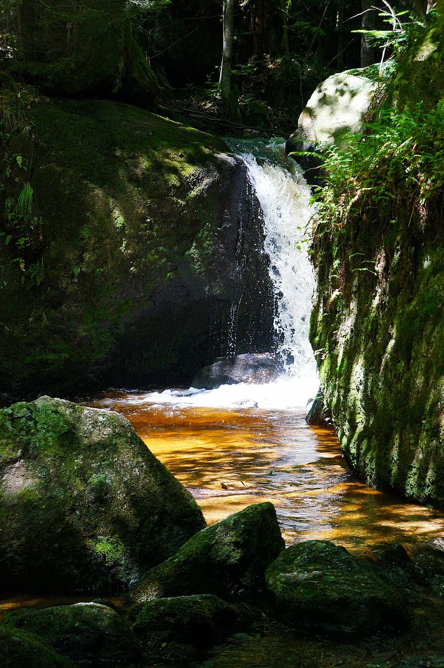 landscape, nature, clammy, waterfall, stream, forest, river HD wallpaper