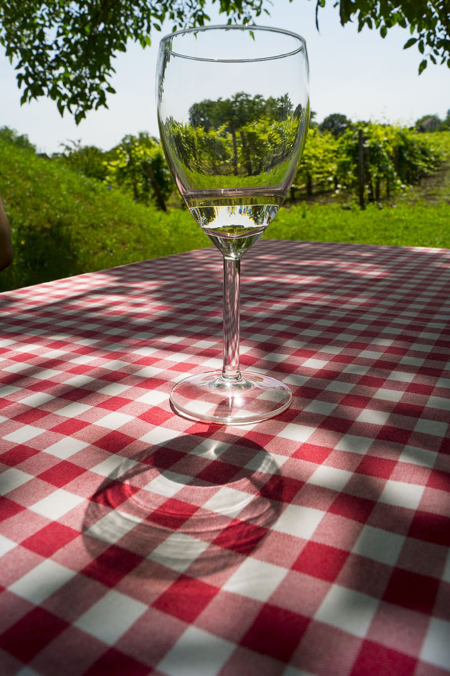 wine, grape, wine glasses, viticulture, etyek, drink, food and drink HD wallpaper