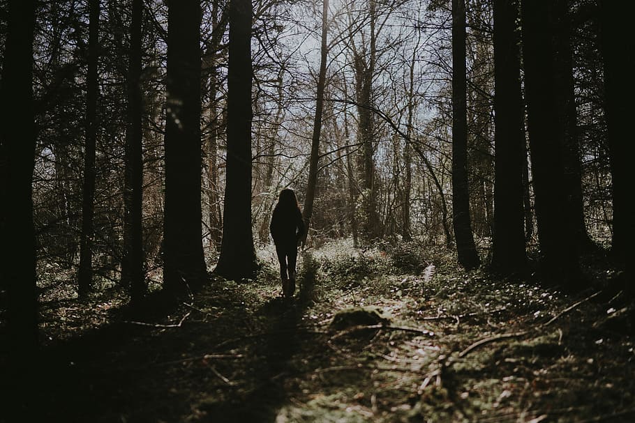 Girl in the forest, person standing on forest, tree, wood, trunk HD wallpaper