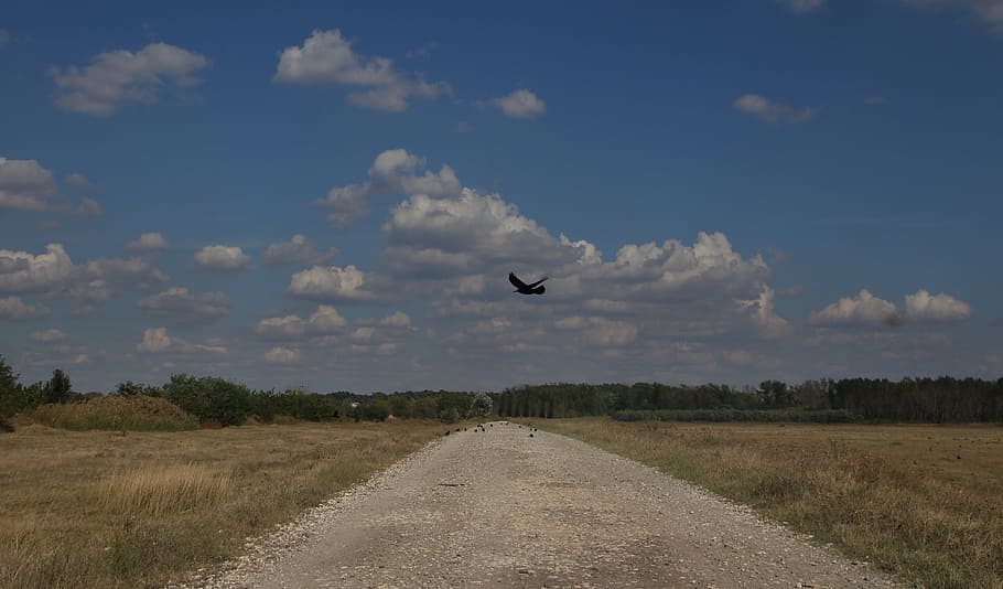 landscape, road, cloud, sky, birds, cloud - sky, transportation HD wallpaper