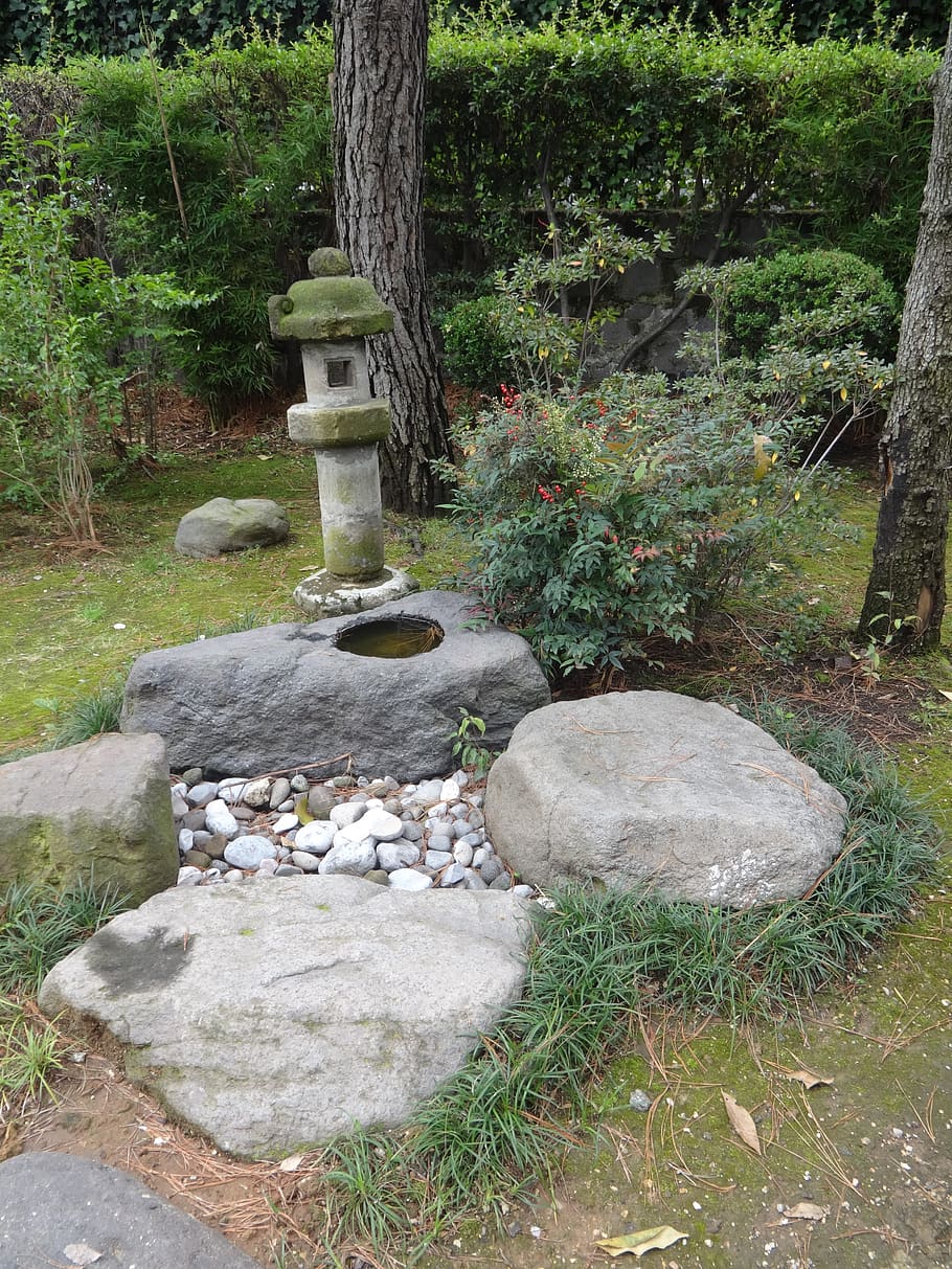 garden, japanese, source, rock, plant, solid, tree, nature HD wallpaper