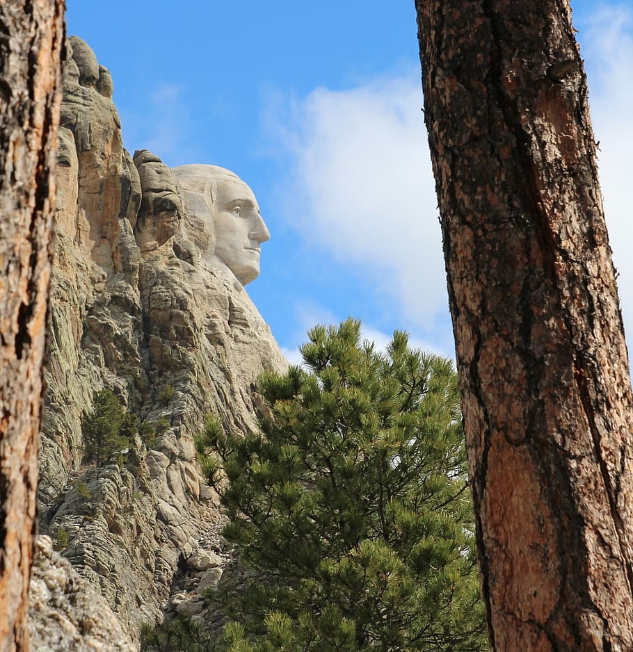 george washington, mount rushmore, profile, nature, tree, sky