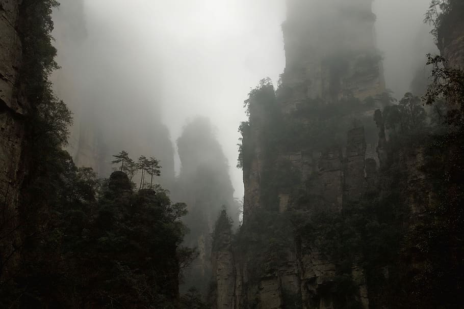 fog-covered mountains during cloudy day, grayscale photo of trees HD wallpaper
