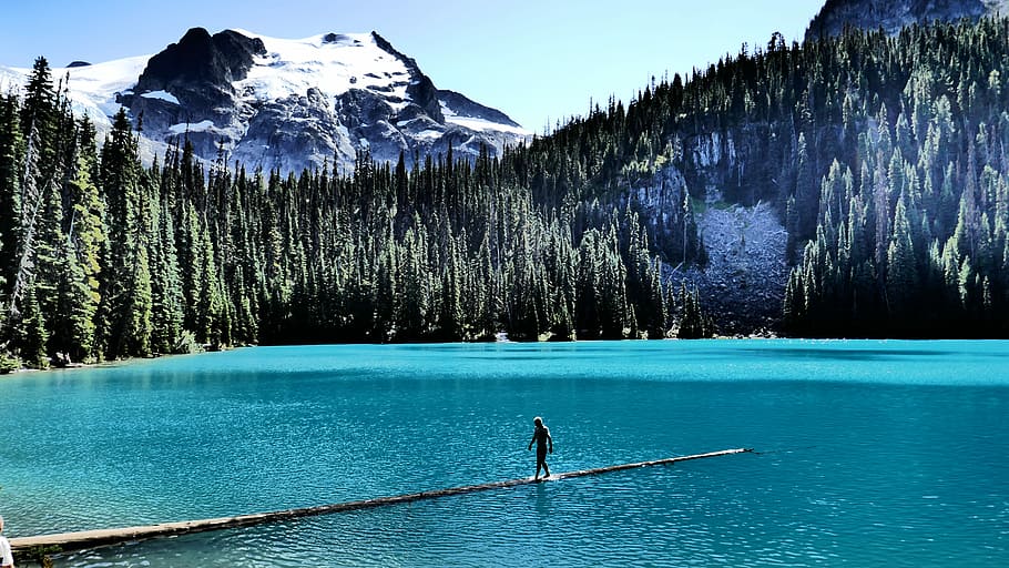 man walking on boardwalk, person walking on dock of blue water river HD wallpaper