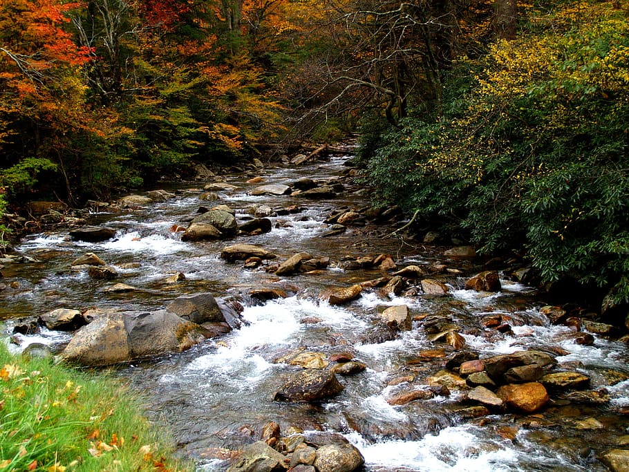 stream with rocks near trees, scenic, great smoky mountains, tennessee, HD wallpaper