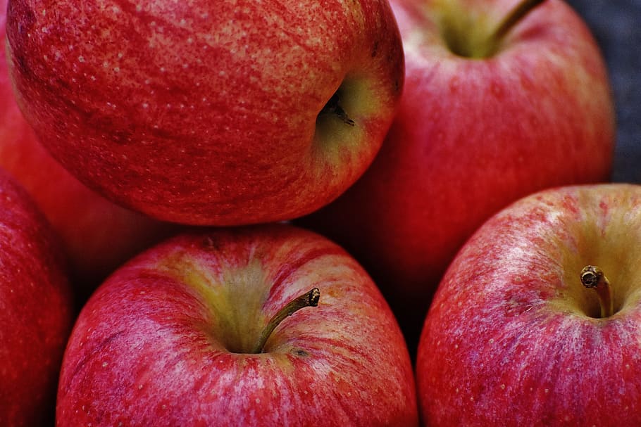 apple, red, delicious, fruit, ripe, red apple, frisch, vitamins HD wallpaper