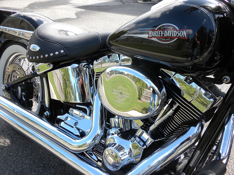 motorcycle, harley, chopper, mode of transportation, land vehicle HD wallpaper