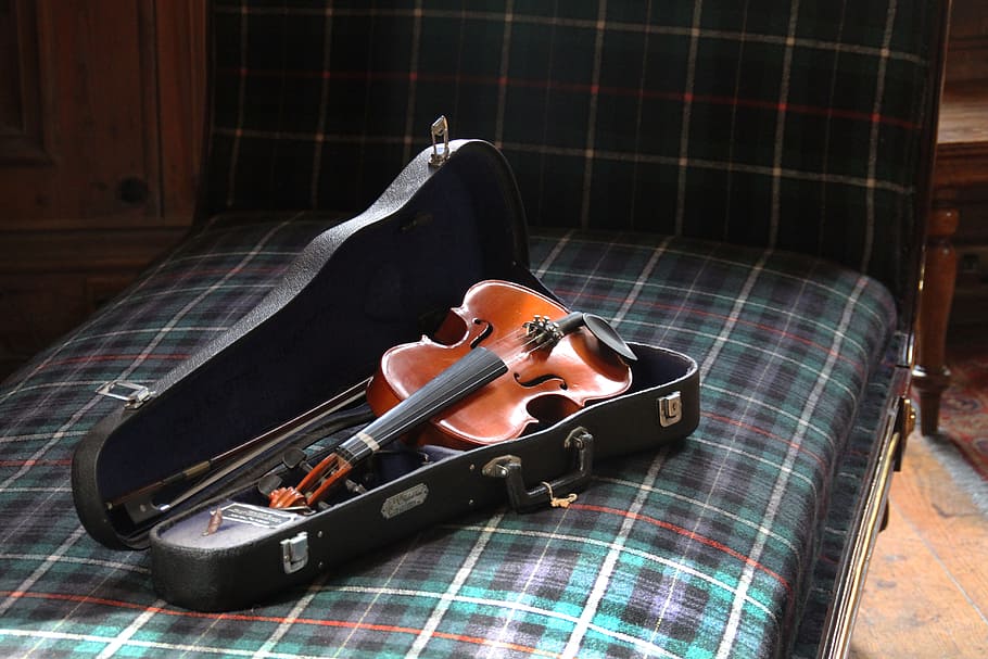 violin, music, instrument, string, wooden, musical, one person HD wallpaper