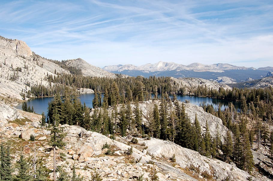 trees with mountains at daytime, lake in between mountain and forest HD wallpaper