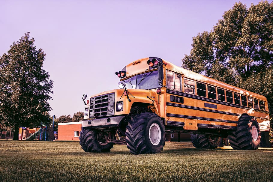yellow school bus on grass field at daytime, objects, whimsical, HD wallpaper