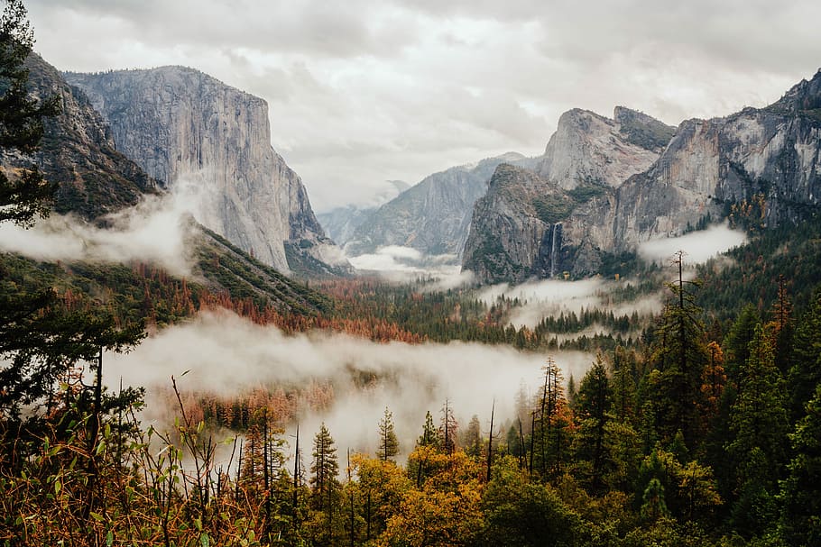 aerial photography of foggy forest overlooking mountain range, pine trees surrounded with mountains
