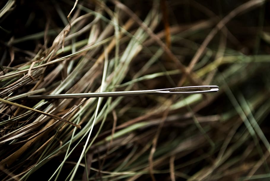 needle, hay, needle in a haystack, metaphor, plant, close-up HD wallpaper