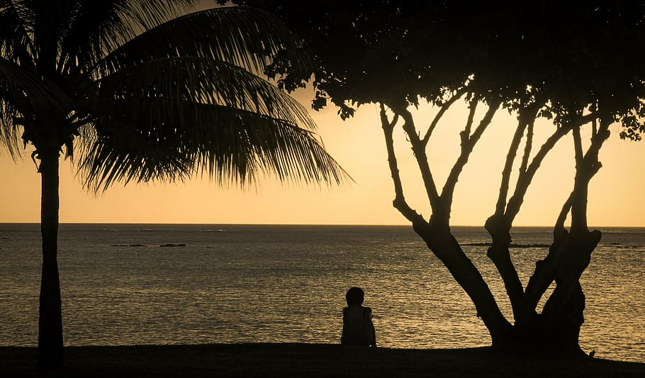 sunset, palms, tropical, water, tree, silhouette, sea, sky HD wallpaper