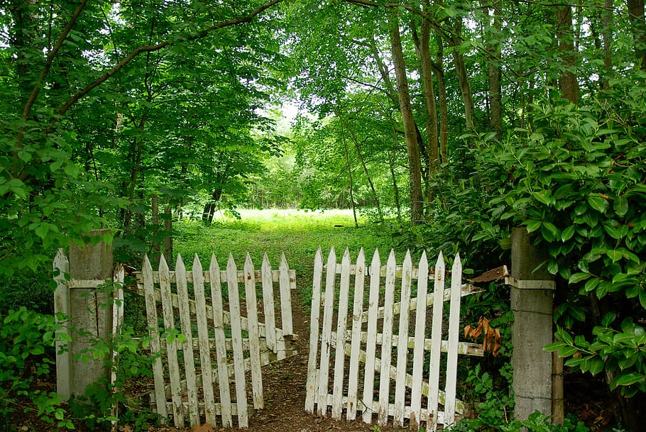 portal, closing, barrier, entry, fence, nature, wood - Material HD wallpaper