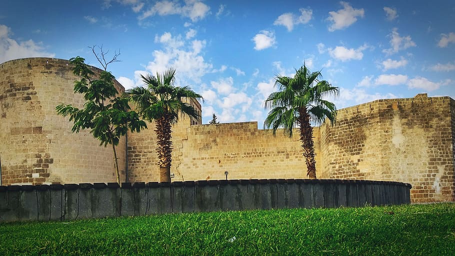 Coconut Tree Painting, ancient, architecture, building, castle HD wallpaper