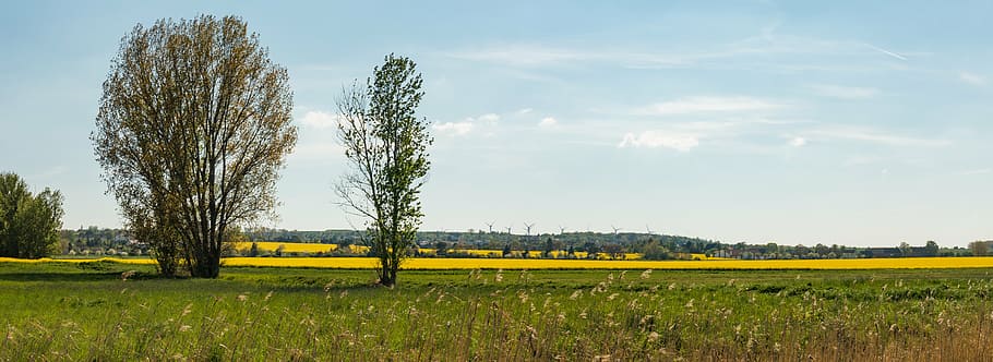 fields, landscape, panorama, summer, agriculture, growth, farm HD wallpaper