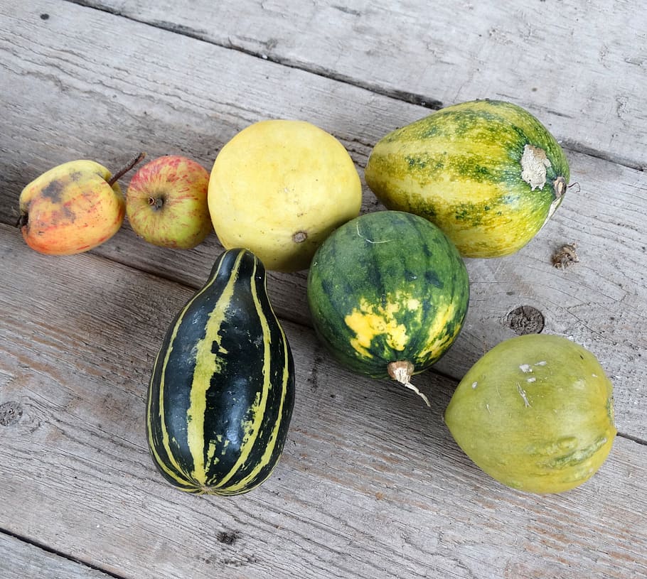 pumpkin, fruit, autumn, apple, healthy eating, food and drink HD wallpaper