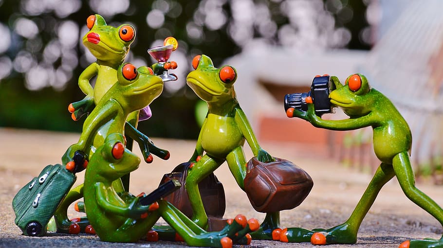 shallow focus photography of four green frogs making a pose figurine, HD wallpaper