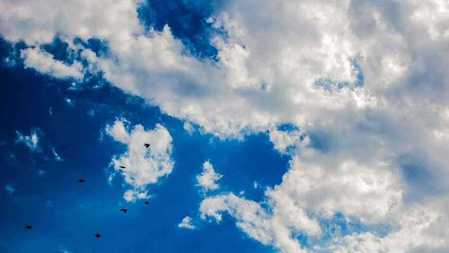 Sky, Clouds, Birds, Flock, blue sky clouds, autumn, season HD wallpaper