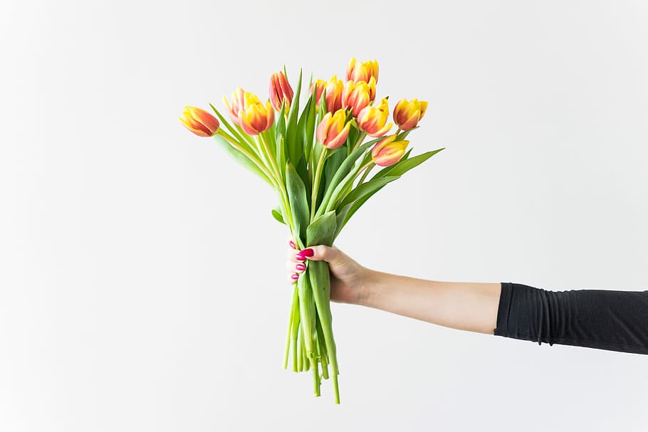 Young Woman Holding Bouquet of Kees Nelis Tulips, birthday, flowers, HD wallpaper