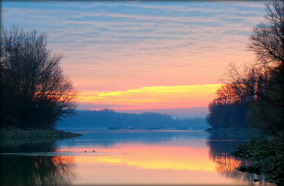 winter, sunrise, colors, nature, sunset, tree, lake, reflection HD wallpaper
