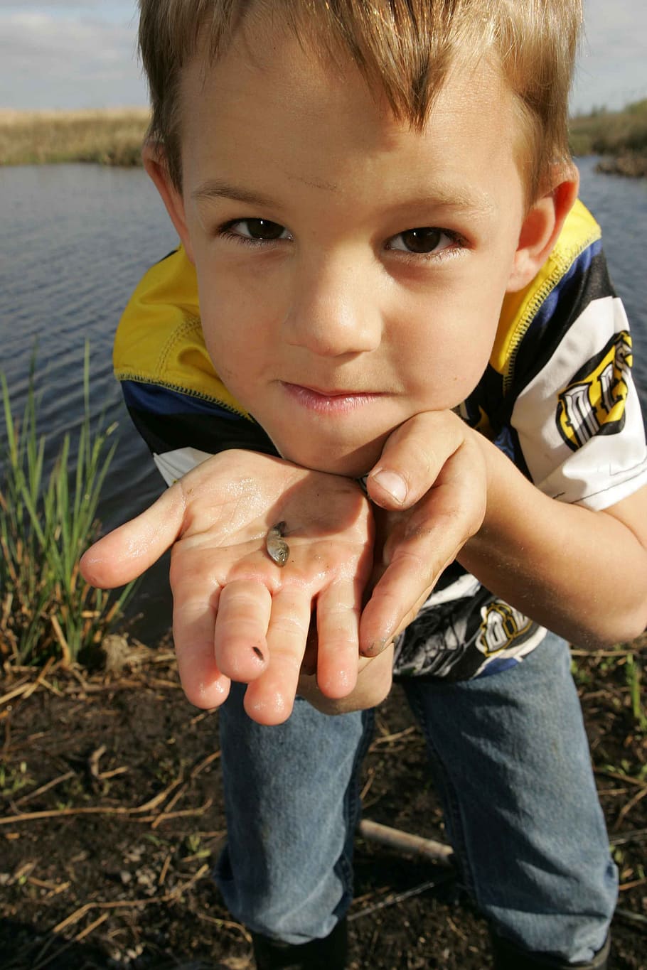 fish, small, holds, boy, young, kids, children, people, boys HD wallpaper