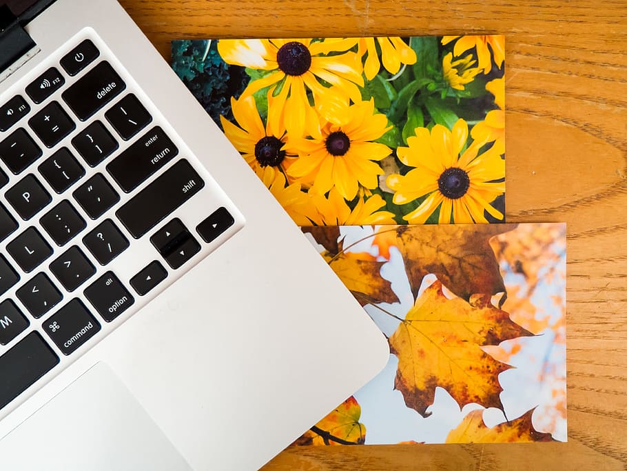 macbook, laptop, computer, technology, office, desk, business HD wallpaper