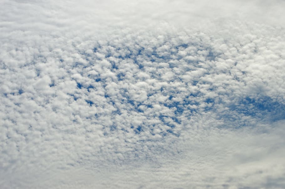 sky clouds borrego, clouds sheep, cotton clouds, cloud - sky HD wallpaper