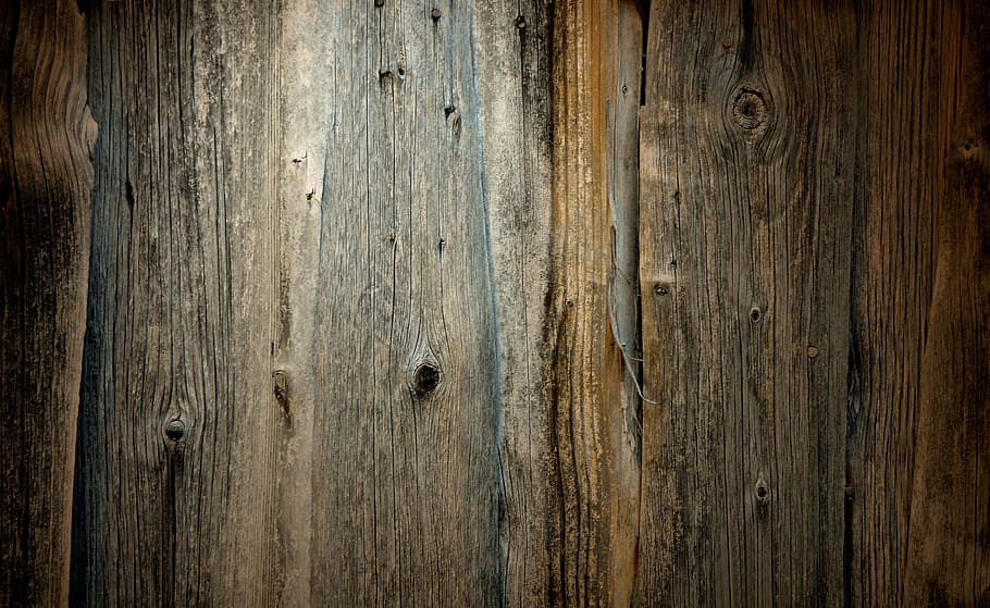 Weathered Wood Pictures  Download Free Images on Unsplash