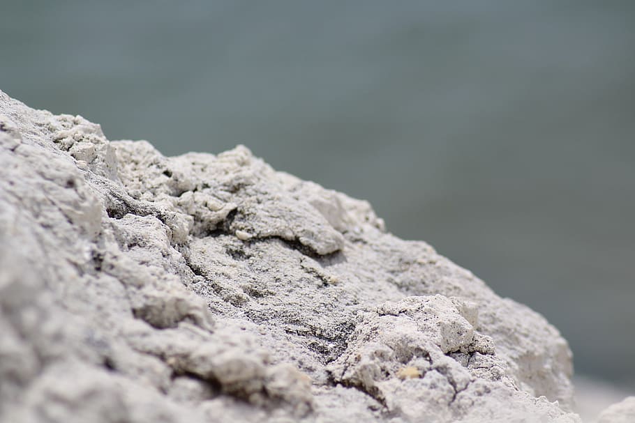roche, macro, pierre, nature, france, sea, landscape, close-up HD wallpaper