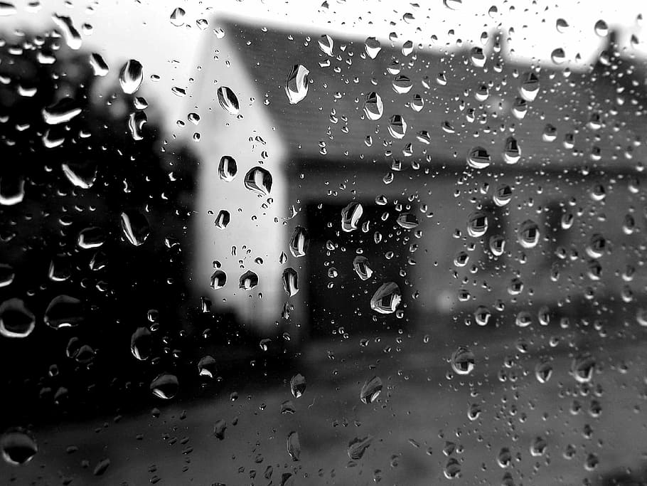 drops, water, raindrop, drops of water, net, grey, window, view HD wallpaper