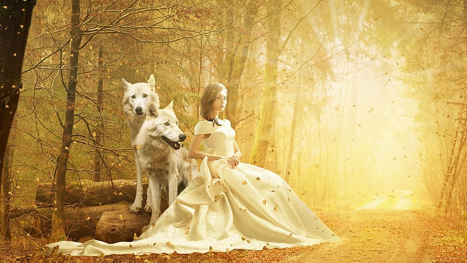 woman sitting beside two white wolf, fantasy, autumn, fall HD wallpaper