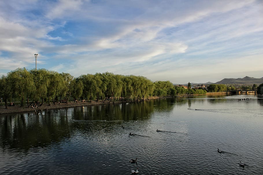 nature, tree, plant, pond, sky, blue, lake, water, river, architecture HD wallpaper