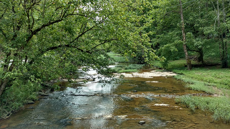 stream, rocks, trees, landscape, river, nature, water, green HD wallpaper