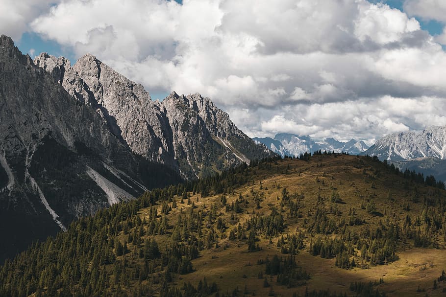 bird's eye view photo of gray rock mountain and green tress during daytime, aerial view of green trees HD wallpaper