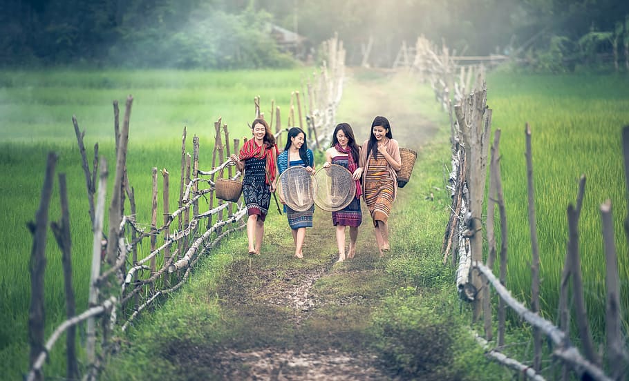 four women walking through rice field carrying brown wicker baskets, HD wallpaper