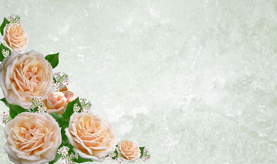 peach-colored roses wallpaper, greeting card, flower, wedding, HD wallpaper