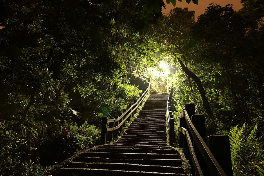 black concrete upstair beside tree lot, light, ladder, grove HD wallpaper