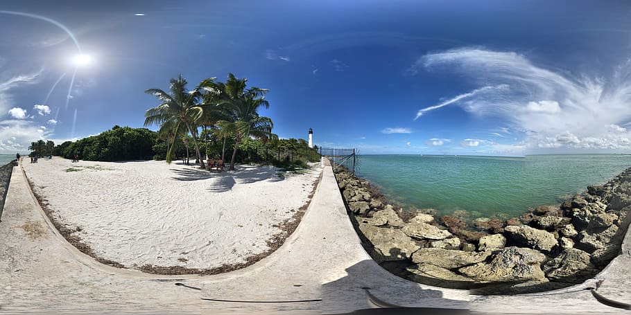 coconut trees near body of water under white and blue sky, Key Biscayne, HD wallpaper