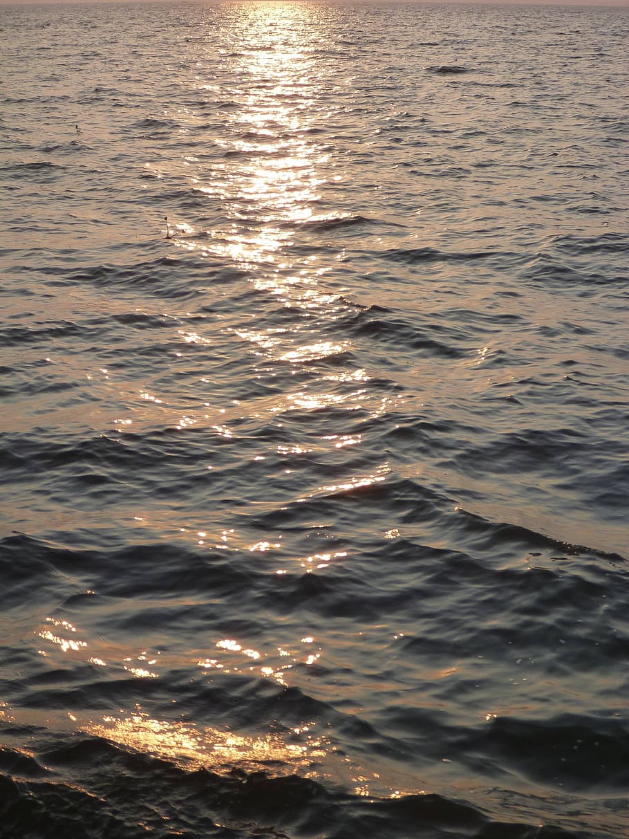 sunset, sea, water, waves, calm, reflexions, ripples, waterfront HD wallpaper