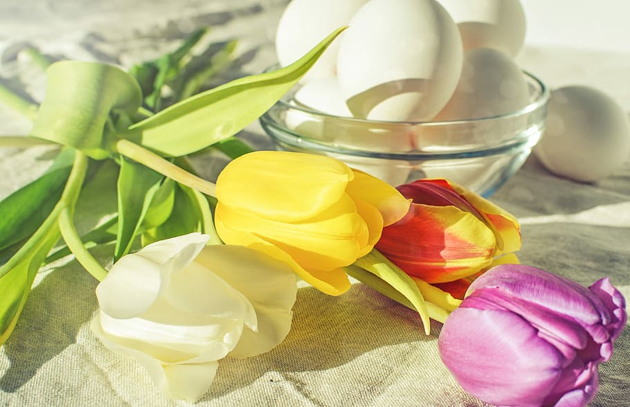 four assorted-color flowers in buds on brown surface, egg, easter HD wallpaper
