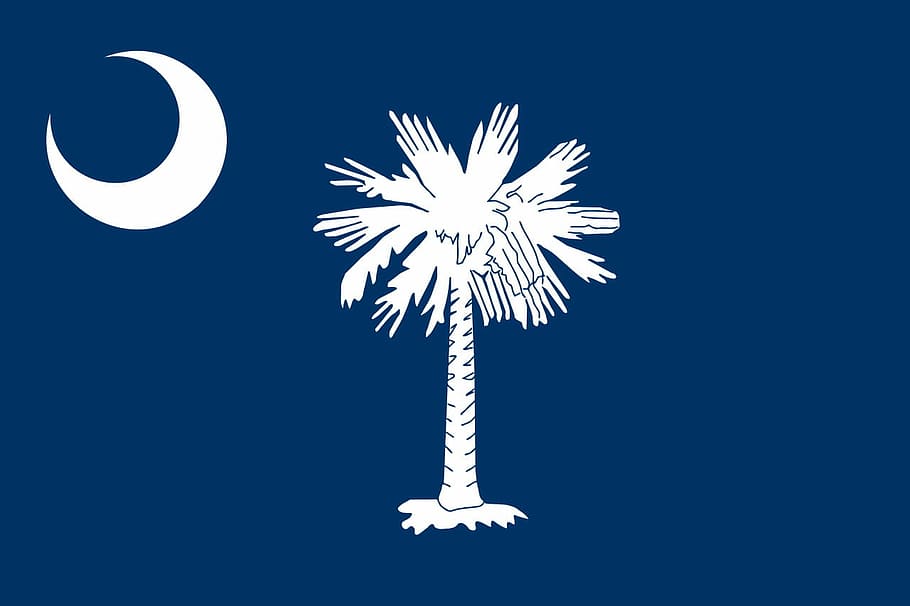 Flag of South Carolina, public domain, symbol, United States, HD wallpaper