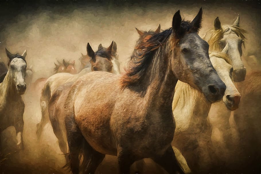 78148 Horse Wallpaper Images Stock Photos  Vectors  Shutterstock