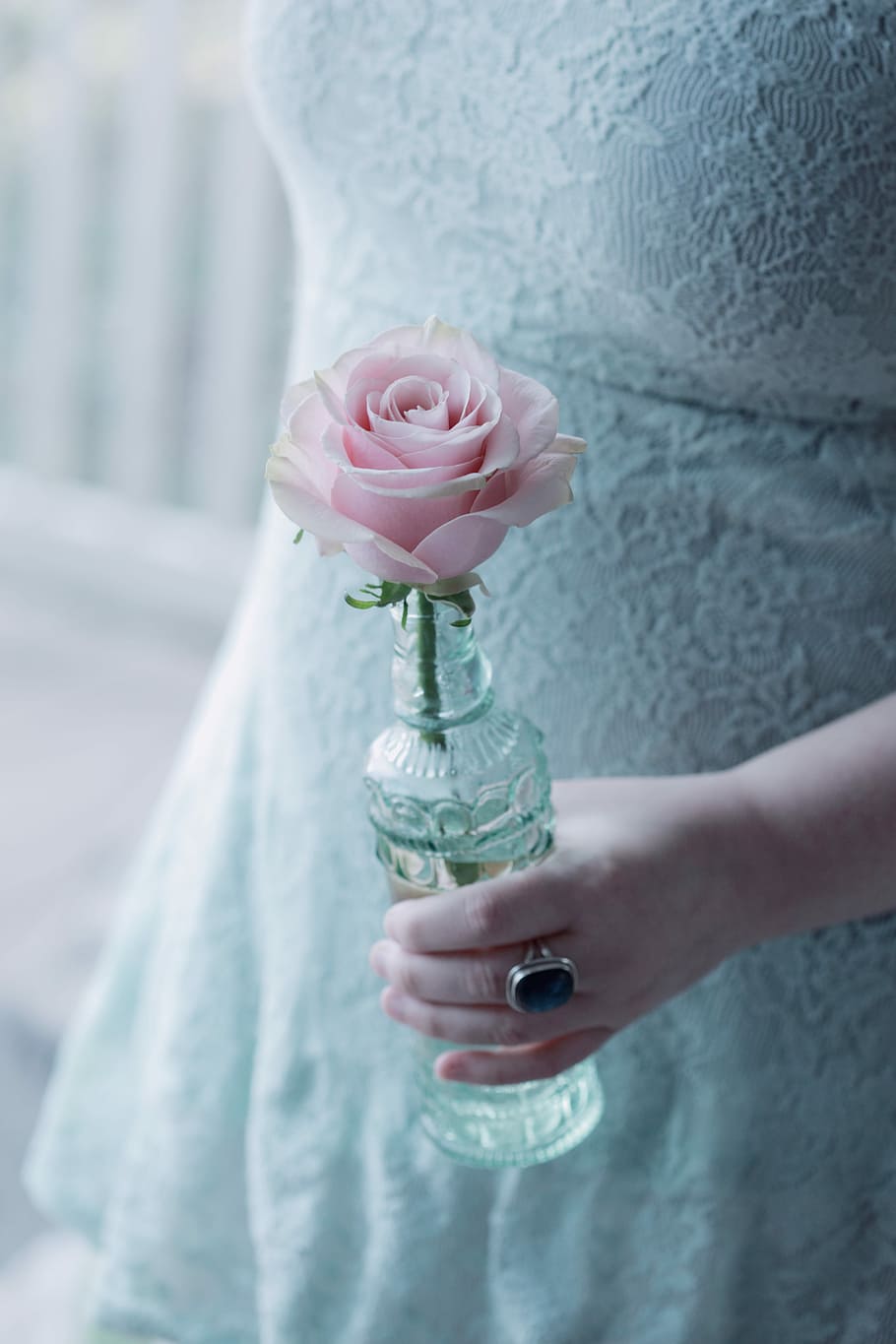 person holding pink flower in glass bottle, woman in white lace dress holding a pink rose in clear glass vase, HD wallpaper