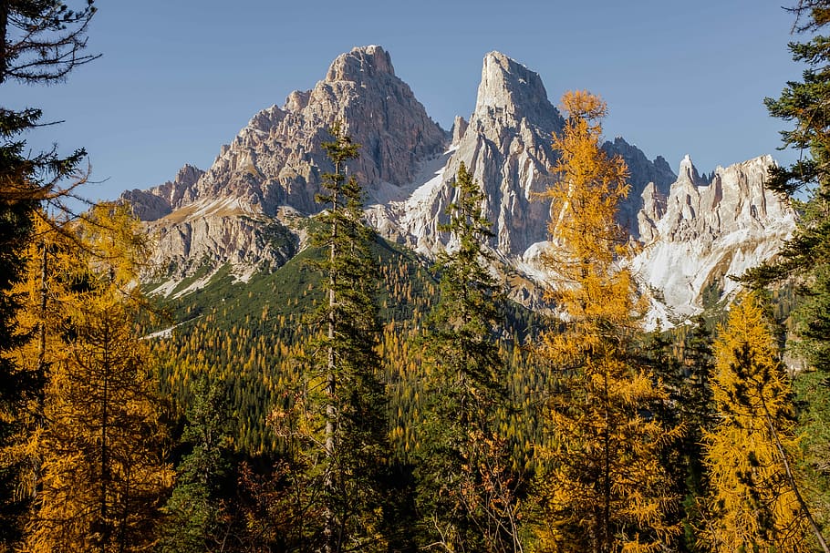 tall trees near gray rock formation under blue sky at daytime, snow-covered mountains HD wallpaper