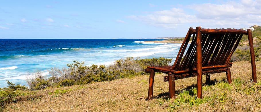 brown wooden bench near seashore, horizon, idyll, view, plants